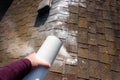 WomanÃ¢â¬â¢s hand shaking moss killer granules on the ridgeline of a house with asphalt shingle roof